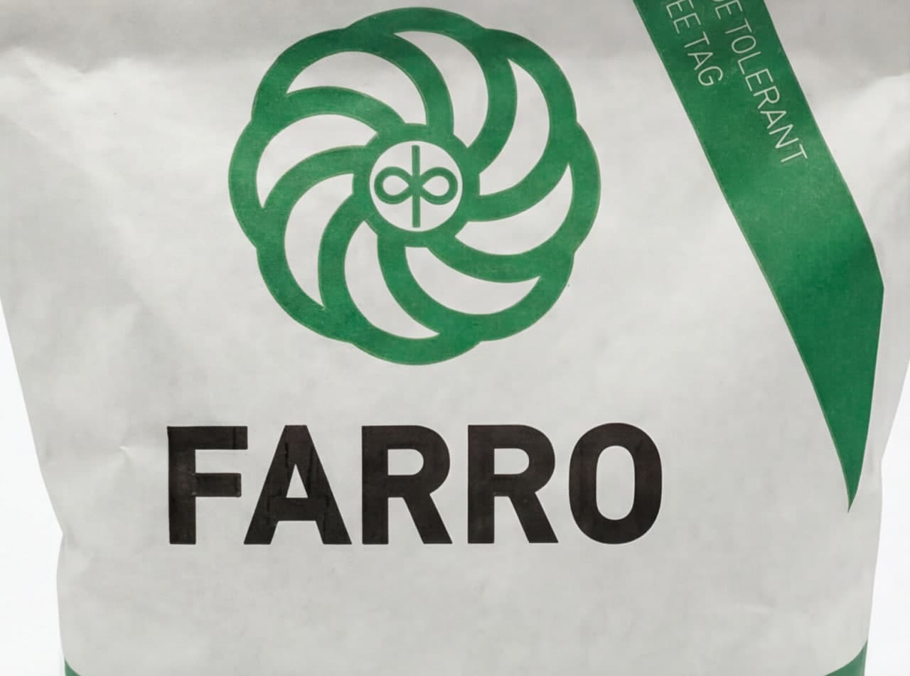 Рапс Фарро