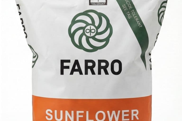 подсолнечник фарро